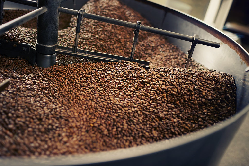 Coffee Processing: What You Need To Know