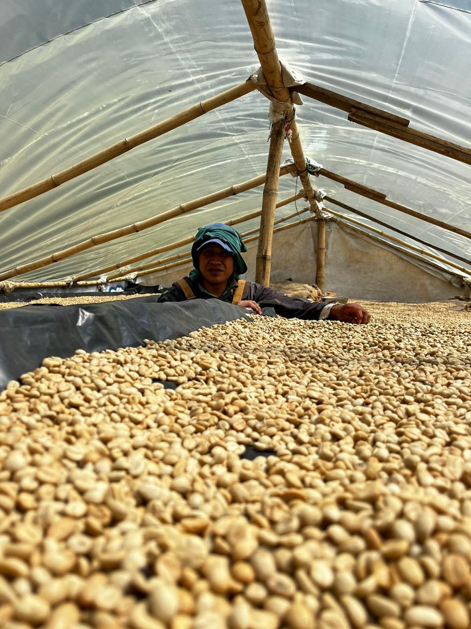 COLOMBIA LA MINDA PINK BOURBON | Goshen Coffee