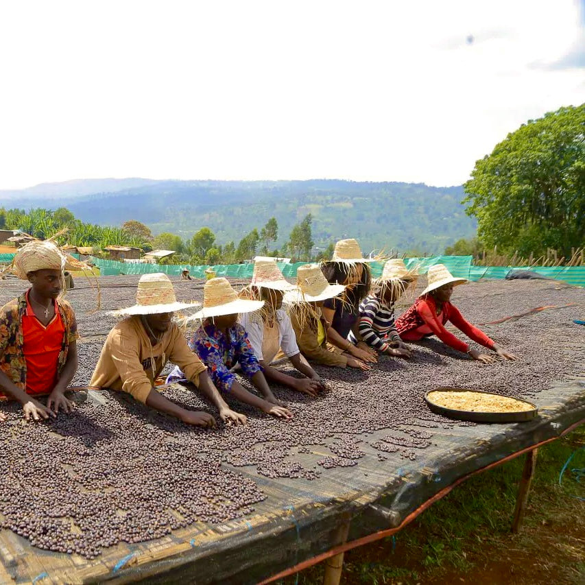 ETHIOPIA BENTI NENKA ANAEROBIC NATURAL