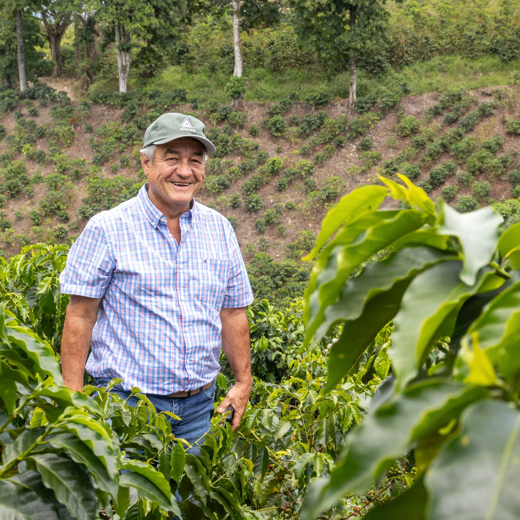 JAIRO ARCILA WINE LYCHEE - SECRET STASH #51