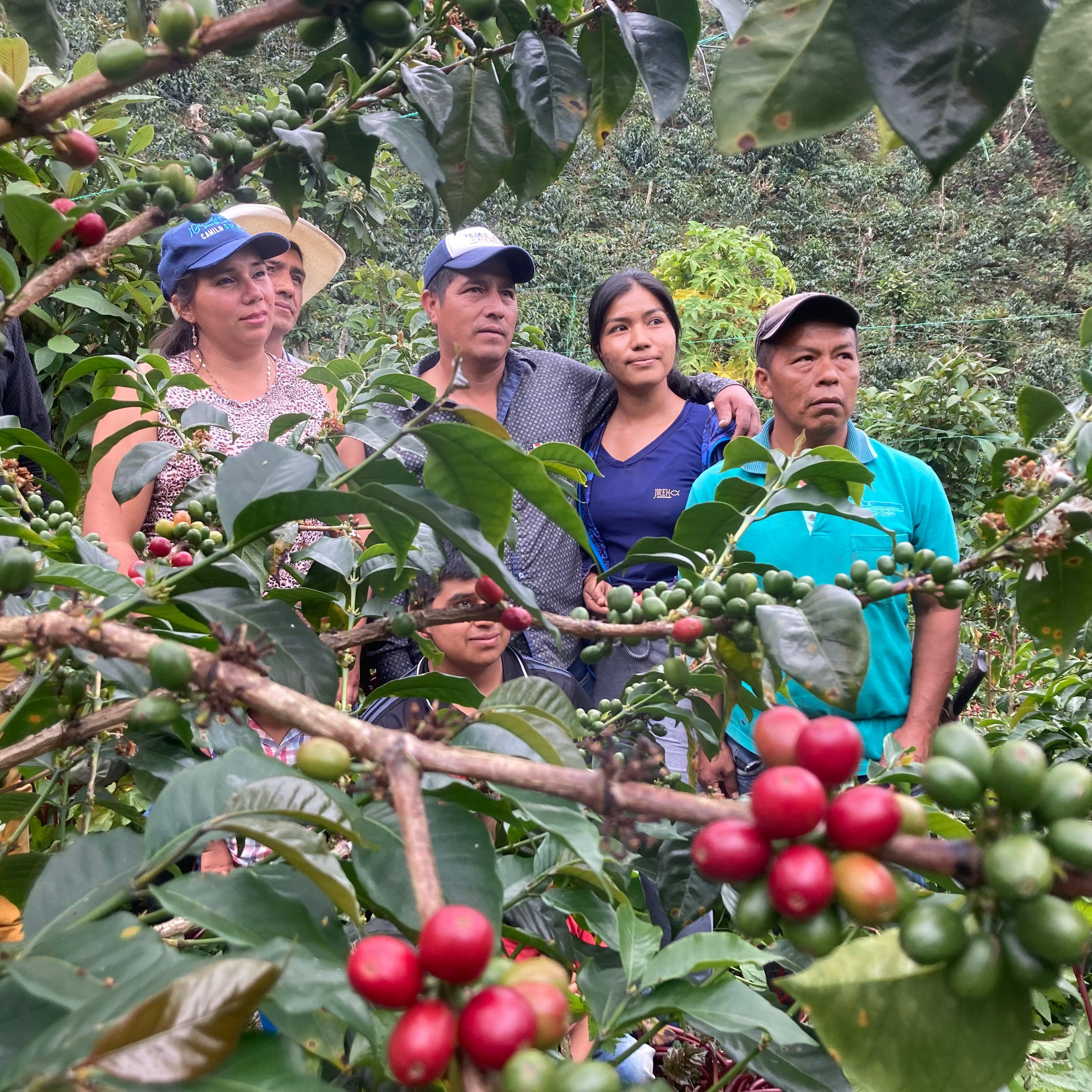 COLOMBIA DEMETRIO SANCHEZ GESHA | GOSHEN COFFEE | Goshen Coffee