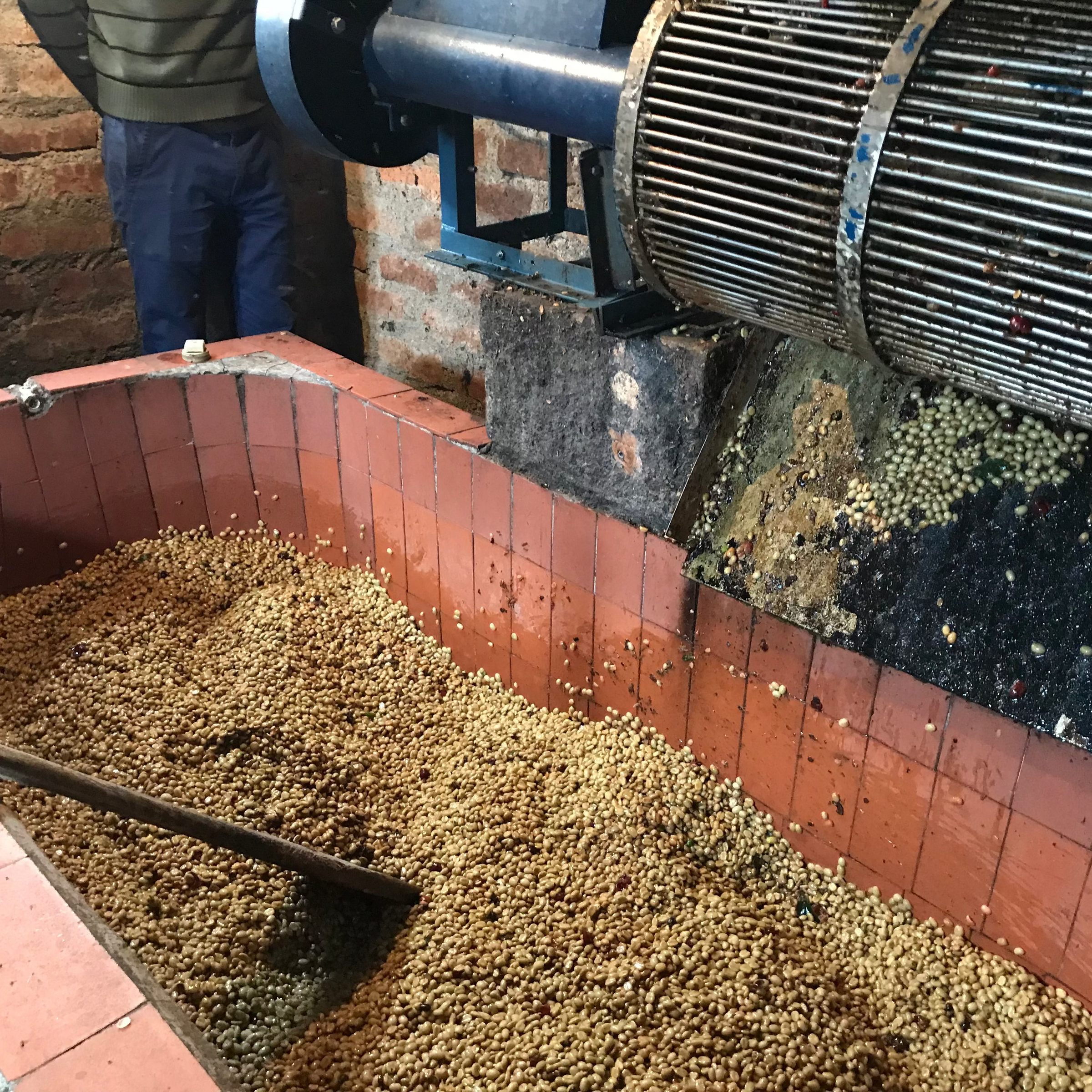 た*や様 雲のコ　コーヒー&マカロン COLOMBIA LA PELOTA | GOSHEN COFFEE | Goshen Coffee