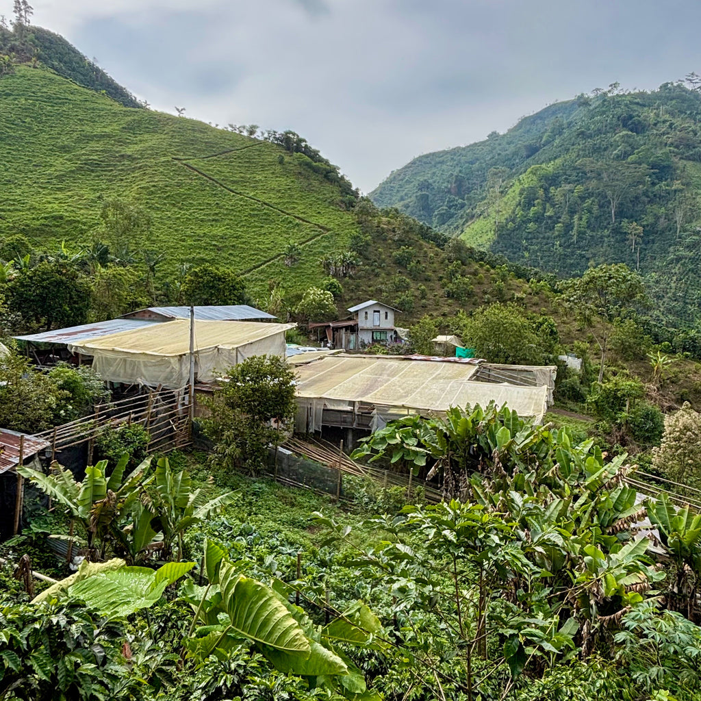 Finca Agua Regada