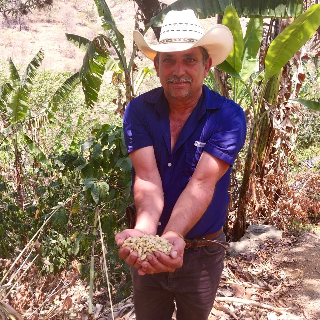 GUATEMALA JAIME MORALES MARAGOGYPE